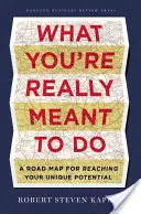 Ceea ce sunteți cu adevărat menit să faceți: O foaie de parcurs pentru a-ți atinge potențialul unic - What You're Really Meant to Do: A Road Map for Reaching Your Unique Potential