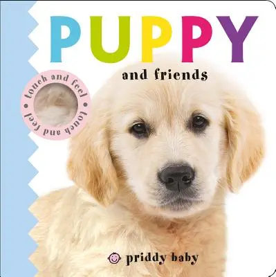 Cățeluș și prieteni - Puppy and Friends