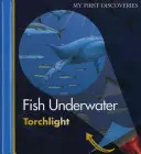 Pești sub apă - Fish Underwater