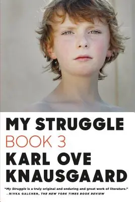 Lupta mea, Cartea 3 - My Struggle, Book 3