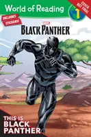 Acesta este Black Panther - This Is Black Panther