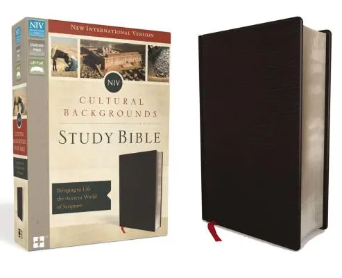 NIV, Biblia de studiu cu fundaluri culturale, piele întărită, neagră: Aducerea la viață a lumii antice a Scripturii - NIV, Cultural Backgrounds Study Bible, Bonded Leather, Black: Bringing to Life the Ancient World of Scripture