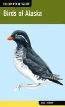 Păsări din Alaska - Birds of Alaska