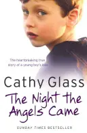 The Night the Angels Came: Povestea adevărată și sfâșietoare a pierderii unui băiețel - The Night the Angels Came: The Heartbreaking True Story of a Young Boy's Loss