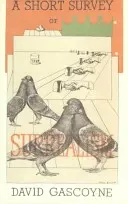 O scurtă trecere în revistă a suprarealismului - A Short Survey of Surrealism