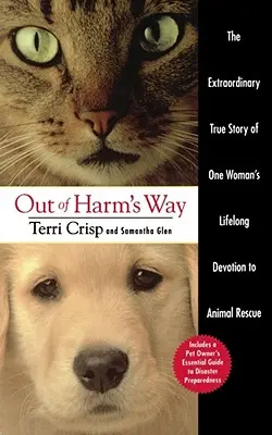 În afara pericolului (Out of Harm's Way) - Out of Harm's Way