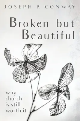 Rupt dar frumos - Broken but Beautiful