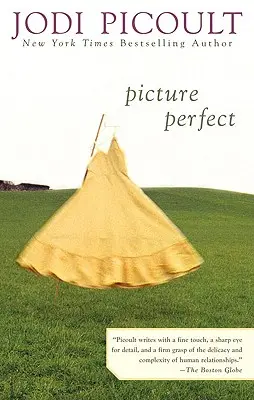 Imagine perfectă - Picture Perfect