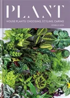 Plant - Plante de apartament: alegere, stilizare, îngrijire - Plant - House plants: choosing, styling, caring