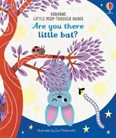 Ești acolo, liliac mic? - Are You There Little Bat?