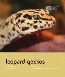 Gecko leopard - Leopard Gecko