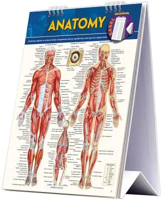 Anatomy Easel Book: Un instrument de referință pentru studiu rapid - Anatomy Easel Book: A Quickstudy Reference Tool