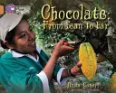 Ciocolata: De la bob la baton - Chocolate: From Bean to Bar