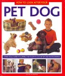 Cum să ai grijă de câinele tău de companie - How to Look After Your Pet Dog