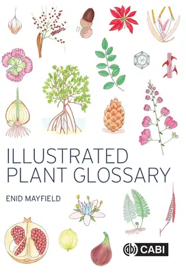 Glosar ilustrat al plantelor - Illustrated Plant Glossary