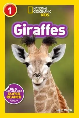 Girafe - Giraffes