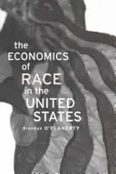 Economia rasei în Statele Unite - Economics of Race in the United States