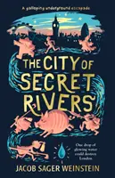 Orașul râurilor secrete - City of Secret Rivers