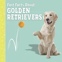 Informații rapide despre Golden Retriever - Fast Facts About Golden Retrievers
