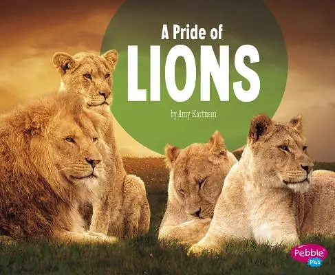 O mândrie de lei - A Pride of Lions