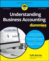 Understanding Business Accounting For Dummies - Marea Britanie - Understanding Business Accounting For Dummies - UK