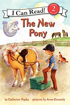 Noul ponei - The New Pony
