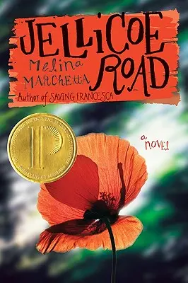 Drumul Jellicoe - Jellicoe Road