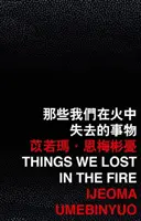 Lucruri pe care le-am pierdut în incendiu - Things We Lost in the Fire
