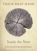 În interiorul prezentului: Meditații asupra timpului - Inside the Now: Meditations on Time