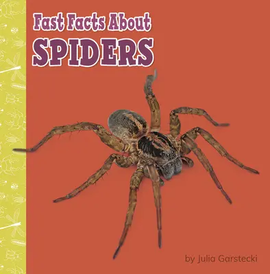 Fapte rapide despre păianjeni - Fast Facts about Spiders