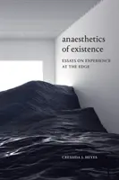 Anestezia existenței: Essays on Experience at the Edge - Anaesthetics of Existence: Essays on Experience at the Edge