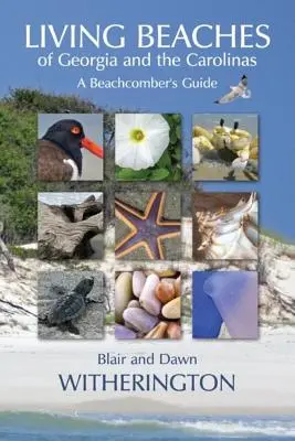 Plajele vii ale Georgiei și Carolinei: Ghidul unui iubitor de plajă - Living Beaches of Georgia and the Carolinas: A Beachcomber's Guide