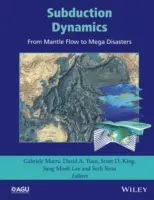 Dinamica subducției: De la curgerea mantalei la mega-dezastre - Subduction Dynamics: From Mantle Flow to Mega Disasters