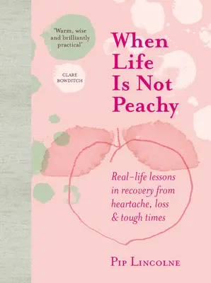 When Life Is Not Peachy: Lecții din viața reală de recuperare după suferințe, pierderi și vremuri grele (Real-Life in Recovery from Heartache, Loss & Tough Times) - When Life Is Not Peachy: Real-Life Lessons in Recovery from Heartache, Loss & Tough Times