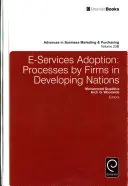 E-Services Adoption: Procese ale firmelor din țările în curs de dezvoltare - E-Services Adoption: Processes by Firms in Developing Nations