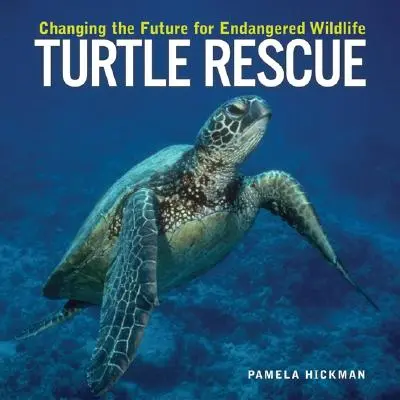 Salvarea țestoaselor: Schimbarea viitorului pentru animalele sălbatice pe cale de dispariție - Turtle Rescue: Changing the Future for Endangered Wildlife