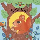 Veverița - Squirrel