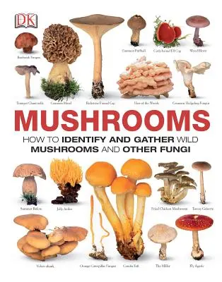Ciuperci: Cum să identifici și să culegi ciuperci sălbatice și alte ciuperci - Mushrooms: How to Identify and Gather Wild Mushrooms and Other Fungi