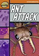 Citire rapidă: Atacul furnicilor (Etapa 4, Nivelul 4B) - Rapid Reading: Ant Attack (Stage 4, Level 4B)