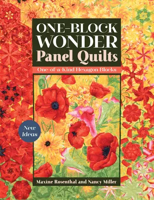 One-Block Wonder Panel Quilts: Idei noi; blocuri hexagonale unicat - One-Block Wonder Panel Quilts: New Ideas; One-Of-A-Kind Hexagon Blocks