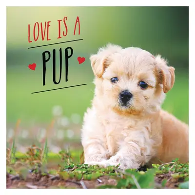 Love Is a Pup: O celebrare dog-tastică a celor mai drăguți căței din lume - Love Is a Pup: A Dog-Tastic Celebration of the World's Cutest Puppies