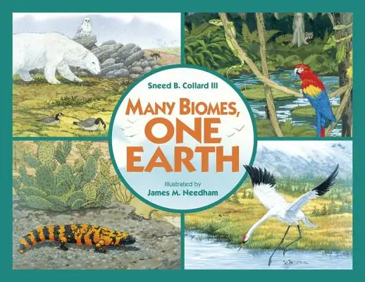 Cartea comercială Many Biomes, One Earth - Many Biomes, One Earth Trade Book