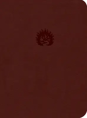 Biblia de studiu Reformation - ESV - Reformation Study Bible-ESV