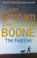 Theodore Boone: Fugarul - Theodore Boone 5 - Theodore Boone: The Fugitive - Theodore Boone 5