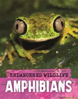 Animale sălbatice pe cale de dispariție: Salvarea amfibienilor - Endangered Wildlife: Rescuing Amphibians