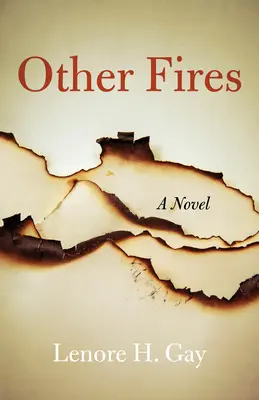 Alte incendii - Other Fires