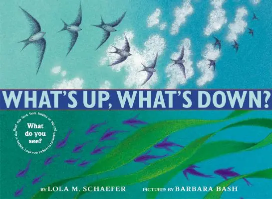 Ce este sus, ce este jos? - What's Up, What's Down?