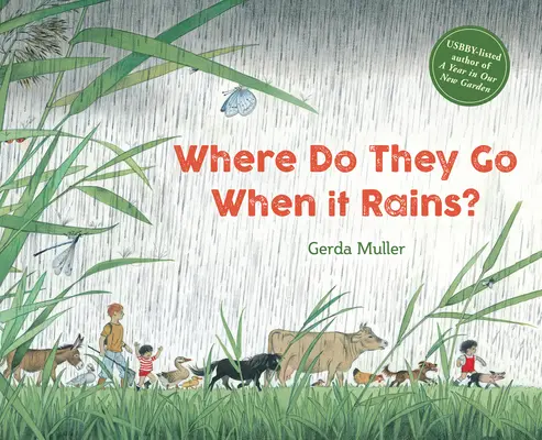 Unde se duc când plouă? - Where Do They Go When It Rains?