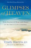 Glimpses of Heaven: Povești adevărate de speranță și pace la sfârșitul călătoriei vieții - Glimpses of Heaven: True Stories of Hope and Peace at the End of Life's Journey