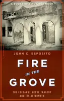 Fire in the Grove: Tragedia de la Cocoanut Grove și urmările sale - Fire in the Grove: The Cocoanut Grove Tragedy and Its Aftermath